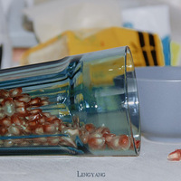 ������Ƭ