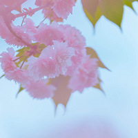 �˼�������