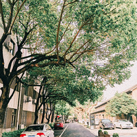 ���ݾ�γ��ҵ԰һ��-�ֻ���Ӱ