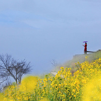 �˼�������