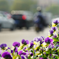 �����������Ƭ01