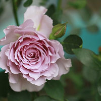 �����޼�������׷ʣ��ҿ�����