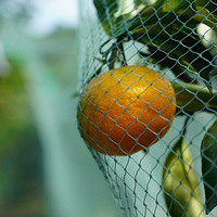 �����������Ƭ02