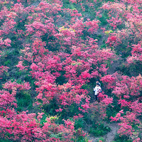 �ž黨��ӳɽ�졪��̫��ɽ��һ��