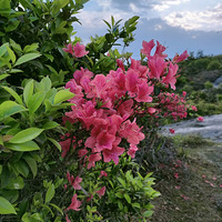 �������ļ��ķ磬�ʹ���һ·�ľ�