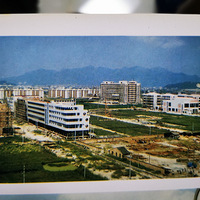 1995·