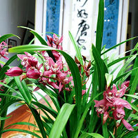 Ϫˮ�˼����ƽ�������黭�����ݴ�