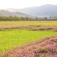 ��̨�ݿ���ԭȥ