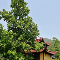 ˭ʶһʱ���У��β��ݷ����ģ����ٺ�ӿȪ�Ӷ��£�