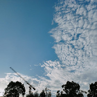 ��̨�ݴ�ɫ������㳡�Ļ�Ӧ������֪������