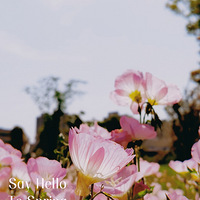 ��̨�ݴ�ɫ����԰����