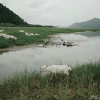 ��̨�ݴ�ɫ���ݳ�ݺ���µ�������