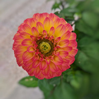 ��̨�ݴ�ɫ���Լ��Ļ�