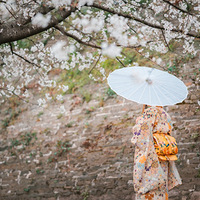 ��̨�ݴ�ɫ����������