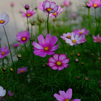 ·�߻������û�