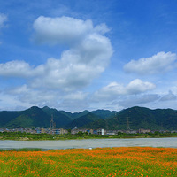 ����������