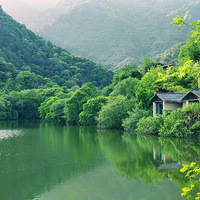 ����ɽ��