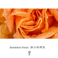 ��ɫ����