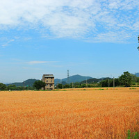 �ٺ����Ͻֵ���ƬС���