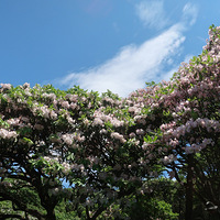 ˼·ƾ žȻ