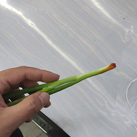 Ա˯