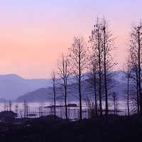 ���ſڵķ羰Ҳ�����ġ���̶ˮ�⡳