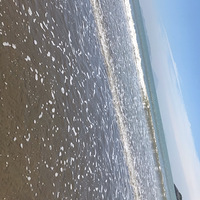 ���ź�ɳ���峺ε����ˮ��ϸ���ɳ