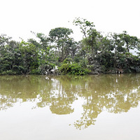 һ�а���������