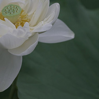 ����.�ɿ�