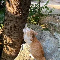 ���˼�����ֻè��