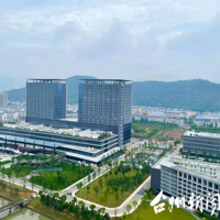 ̨��ҽԺ��Ժ�������ڼ������ߴ����ȶ�Ϊ��