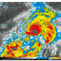 ע�⣡̨��Ҫ���ˣ����ڿ��������ܻ��½�㽭