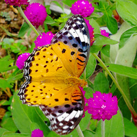 [������]������