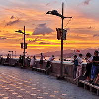 ��ϼ�еĽ�����԰