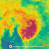 ֣�ݵĽ��������ǿֲ�