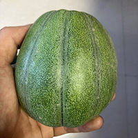 �������ġ����ֳ��óԵ���Ͽ�����˰�