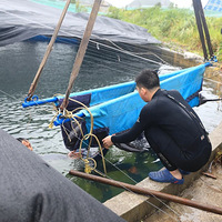 ̨�ݸ�ǳ�����һͷ��ͷ��ת�Ƶ�̨�ݺ����