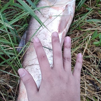 �������ġ�ˮբ�ڵ����൱��