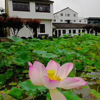 [������]����԰֮��