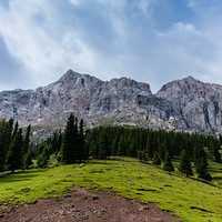 ���ѹ�·������