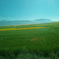 ʴ