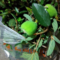 �������ġ��ؿղ���ʯ��