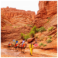 ��ɽ���ش�Ͽ����Ӱ