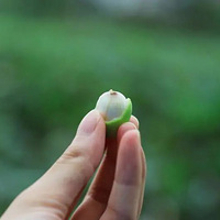 ̨�ݳ�������15���ӣ������бȡ��������𡱵ġ������顱