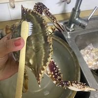 ���۸��᡿�й����з����-Ǻha