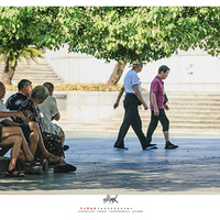 �ٺ�����