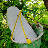 [������]��ɵ�ϡ�������