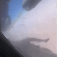 ��������������壡���������ԭ��Ա�������Ա/��ý��̬