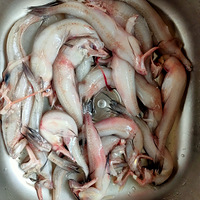 �������ġ�ˮ������Ǯһ���ֻ�����