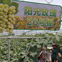 �۸񱩽���300Ԫ/�����10Ԫ/����ˮ��������̳